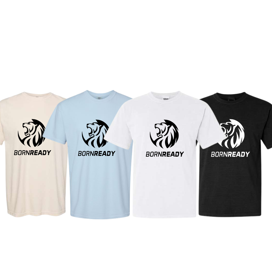 Bornready Logo T